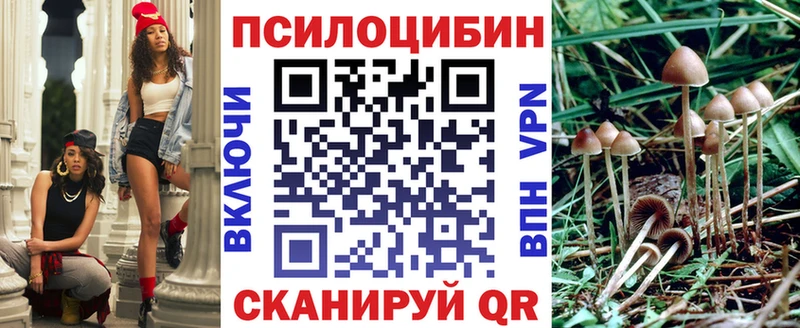 Псилоцибиновые грибы Cubensis  даркнет сайт  Наро-Фоминск 